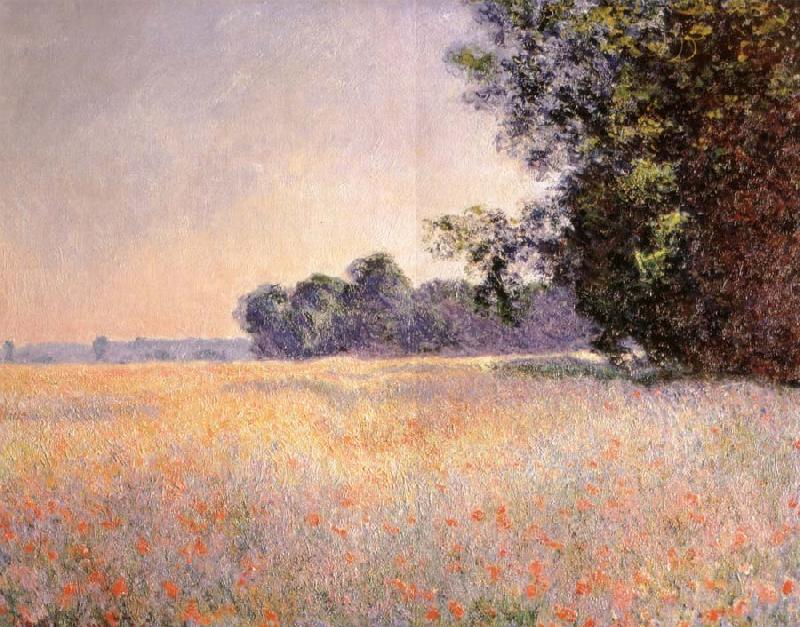 Claude Monet Oat and Poppy Field oil painting picture